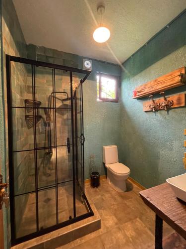 马尔特维利Odo’s Guest House的带淋浴和卫生间的浴室