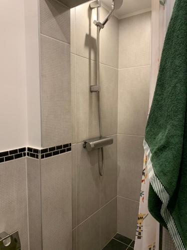 里摩日Chambre complètement indépendante !的带淋浴和绿毛巾的浴室