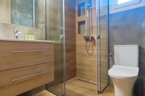 卡利维亚波里吉鲁A & F Apartments - Ari's house的一间带卫生间和玻璃淋浴间的浴室