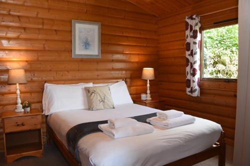 赖厄德Tawny Owl Lodge的小木屋内一间卧室,配有一张床