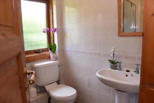 赖厄德Tawny Owl Lodge的一间带卫生间、水槽和窗户的浴室