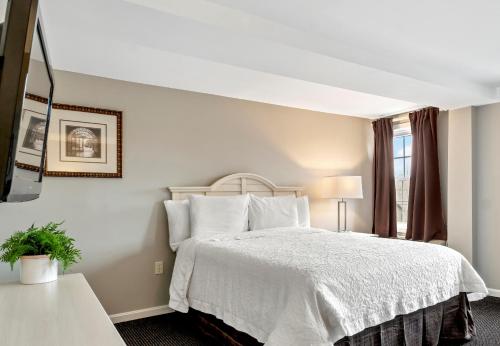 奥甘奎特大海罗斯套房酒店的卧室配有白色的床和窗户。