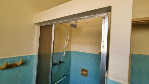 贝洛奥里藏特Casa espaçosa e confortável na região da Pampulha的浴室铺有蓝色瓷砖,设有淋浴。