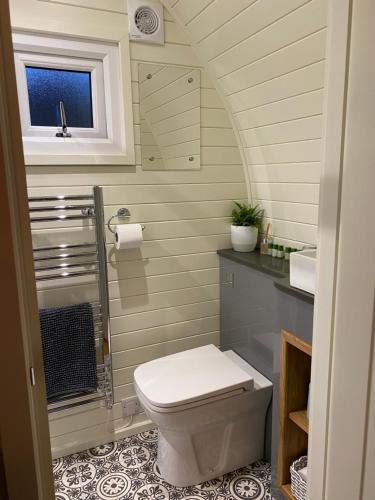 康威Cwt y Gwenyn Glamping Pod的一间带卫生间和窗户的小浴室