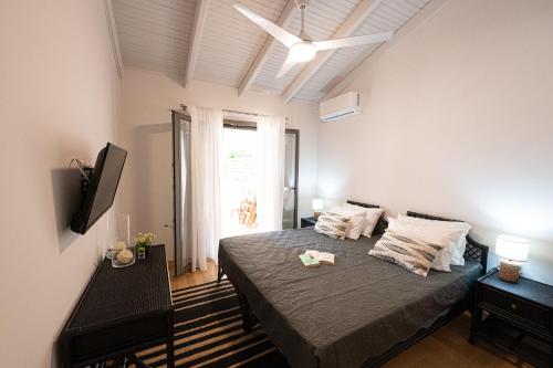 波罗斯Orsalia villa wellness的一间卧室配有一张床和一台电视
