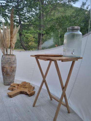 莫斯特约勒斯Camping les lodges du Tarn的一张木桌,上面有花瓶