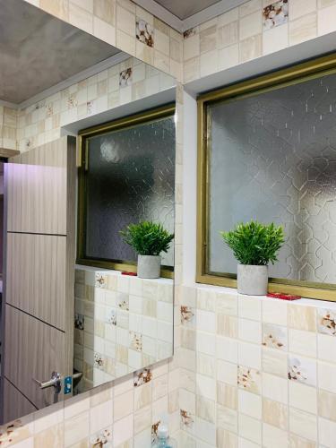 波哥大Bogotá Kings 301的浴室设有2扇窗户和2种盆栽植物