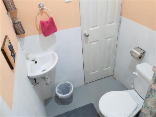 ChimaltenangoCOMFY furnished private apartment.Netflix/internet的一间带卫生间和水槽的小浴室
