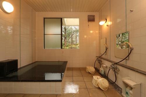 山中湖村特恩萨尔尤山中湖酒店的带浴缸和盥洗盆的浴室