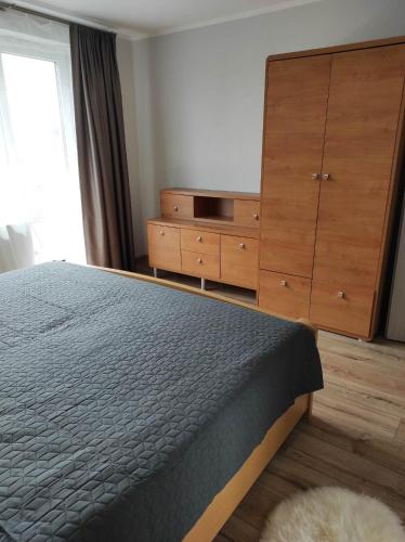 尤尔巴尔卡斯Apartamentai G&G的一间卧室配有一张床和一个木制梳妆台
