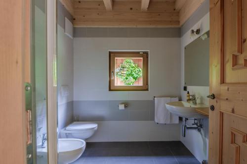 拉比Hotel Chalet val di Rabbi的一间带两个盥洗盆、卫生间和窗户的浴室