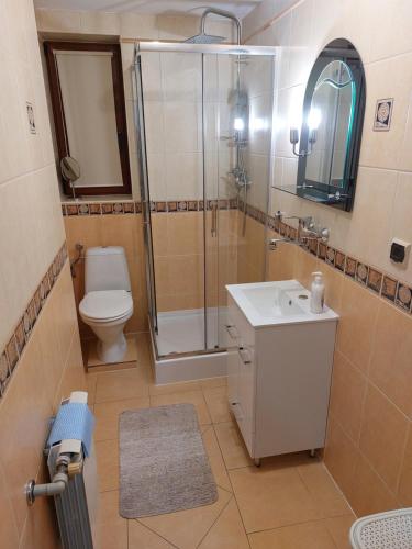 泰里克兹Iwonka Tylicz Pokoje i Apartamenty的带淋浴、卫生间和盥洗盆的浴室