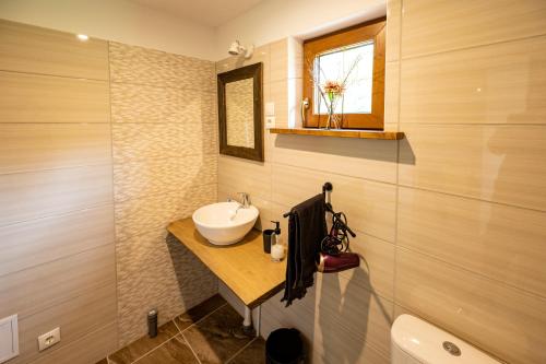 Straupe布利维蒂努玛雅维基尼度假屋的一间带水槽和镜子的浴室