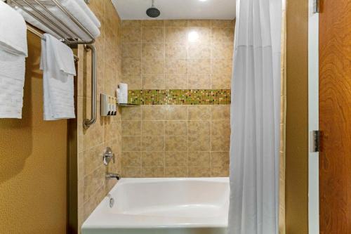 肯代尔Best Western Plus Miami Executive Airport Hotel and Suites的带浴缸和淋浴帘的浴室