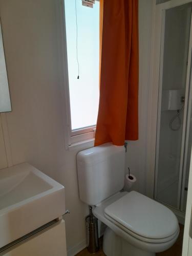 阿菲Agricampeggio Le Corniole的一间带卫生间、水槽和窗户的浴室