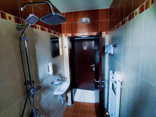 兹拉托格勒HOTEL GOLDEN CITY的一间带水槽、卫生间和淋浴的浴室