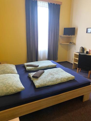 捷克布杰约维采Penzion Lara的一间卧室配有两张带枕头的床和窗户。