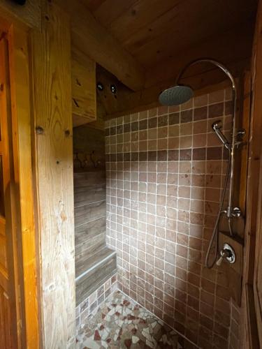 伊帕尼Chalet le Pré de la Dame的一间带淋浴的浴室和瓷砖墙