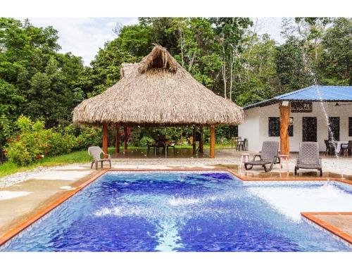 多拉代尔Parcela el paraiso的茅草屋顶和房屋的游泳池