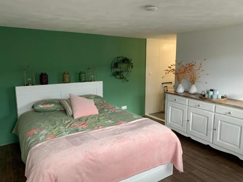 HoogersmildeOnze boerderij的一间卧室设有一张床和绿色的墙壁