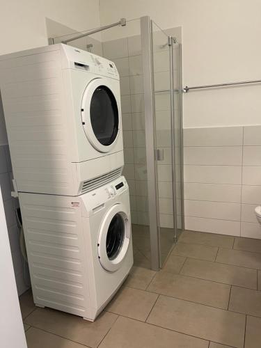 克罗伊茨林根Hotel Swiss Bellevue的浴室内配有洗衣机和烘干机
