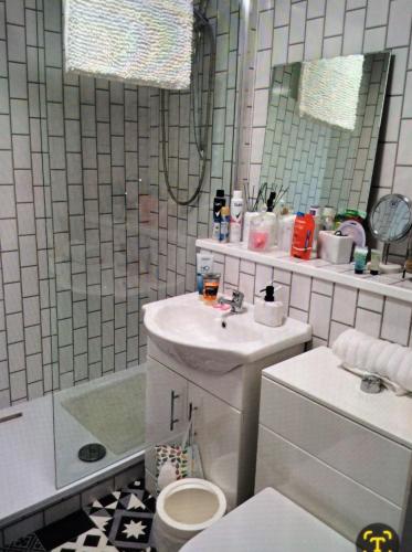 BarassieThe Wee Bunker的一间带水槽、卫生间和镜子的浴室