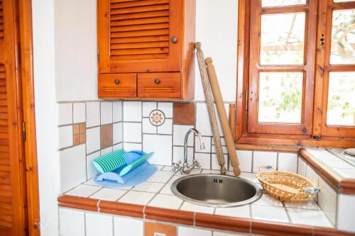 凯法洛斯Ficus Traditional Apartments的带水槽的厨房台面和窗户