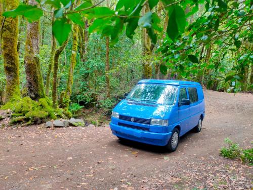 戈梅拉岛圣塞瓦斯蒂安Furgoneta Camper En La Gomera的停在土路上的蓝色货车