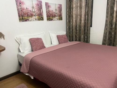 培拉特Hotel Omer的卧室配有粉红色的床和2个枕头