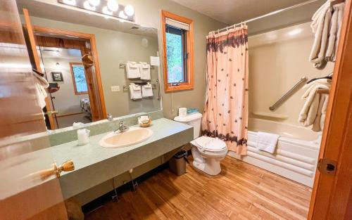 埃斯蒂斯帕克McGregor Mountain Lodge的一间带水槽、卫生间和淋浴的浴室