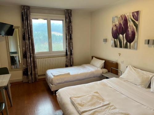 巴尔谢日卢森堡酒店的酒店客房设有两张床和窗户。