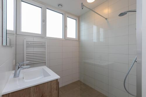 巴勒哈姆斯泰德Kloosterweg 85 'De Zonnestraal' - Burgh Haamstede的一间带水槽和淋浴的浴室