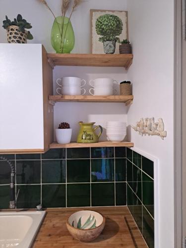 耶尔BASTIDE PRESQU ILE DE GIENS SUPERBE VUE MER PISCINE的厨房铺有绿色瓷砖,配有餐具架