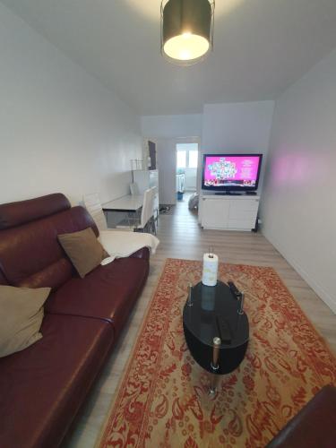日安Appartement Gien的客厅配有棕色沙发和电视