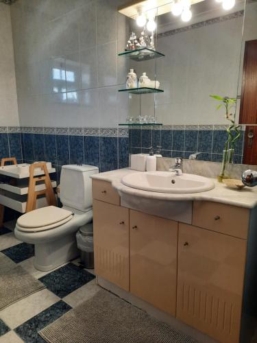 阿威罗Casa das Camélias的一间带卫生间、水槽和镜子的浴室