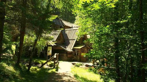 Podrašnica泽林科瓦假日公园酒店的森林中间的小木屋