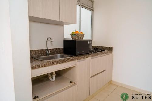 阿帕尔塔多Apartamentos Sierra Verde Living的厨房配有水槽和微波炉