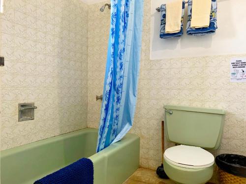 蒙特哥贝African Symbol Guest House的浴室配有卫生间、浴缸和淋浴帘