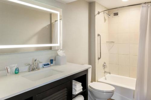 圣地亚哥圣地亚哥市中心小意大利福朋喜来登酒店 的一间带水槽、卫生间和淋浴的浴室