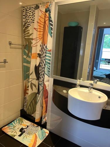 努美阿Studio tropical baie des citrons的一间带水槽和镜子的浴室