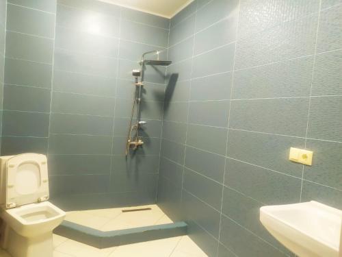 巴统Family apartament的一间带卫生间和水槽的浴室