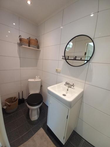 Rilland-BathMariahoeve的一间带卫生间、水槽和镜子的浴室