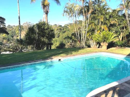 克卢夫Comfrey cottage的棕榈树庭院内的游泳池