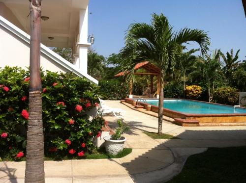 佩达西镇Pedasi Sports Club的一座带游泳池和棕榈树的房子