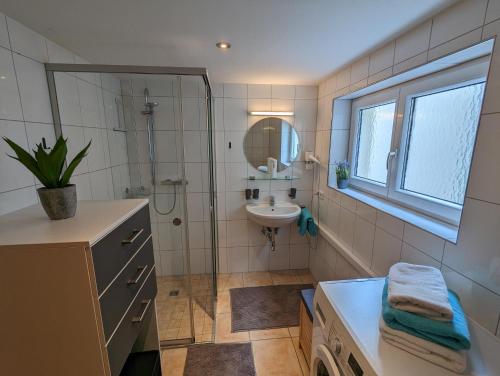 劳特阿赫Ferienwohnung Apimundi的带淋浴、盥洗盆和镜子的浴室