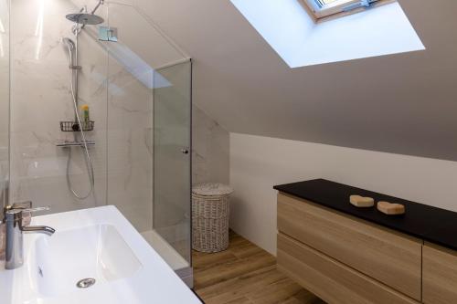 斯洛文尼亚格拉代茨Villa Richterberg with Sauna & Hot Tub的一间带水槽和玻璃淋浴的浴室