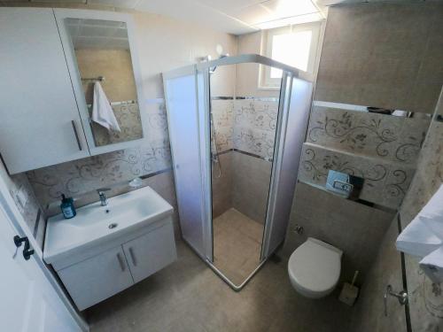 奥尔塔贾Doğa Apart的带淋浴、卫生间和盥洗盆的浴室