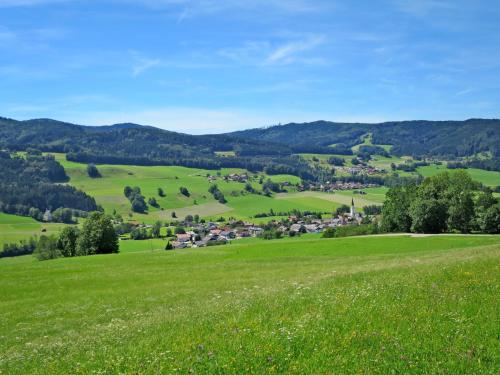 OberwangApartment Waldfrieden by Interhome的绿色的山坡,远处有村庄