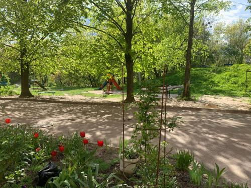 日托米尔Apartaments Teris的公园里种着红色花的花园