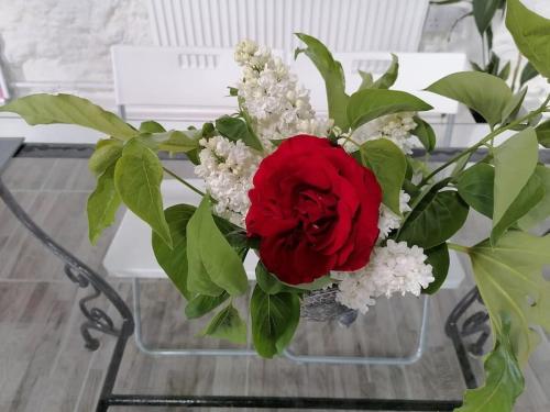 TubberThe Burren Art Gallery built in 1798的花瓶,有红玫瑰和白色花